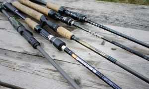ТОП 10 лучших бюджетных спиннингов для рыбалки