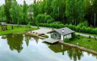 Рыбалка в Курской области: секреты успеха