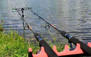 Рейтинг бюджетных фидеров для рыбалки