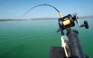 Троллинговая рыбалка с лодки, техника и приманки: советы