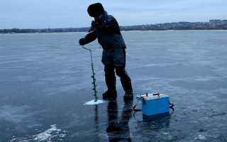 Как правильно ловить судака зимой на балансиры: советы