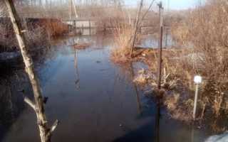 Уровень воды в городе Камень на реке Оби: данные и прогноз