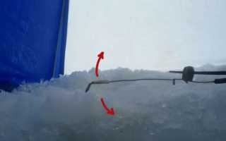 Зимний балансирный кивок Щербакова своими руками: 3 модификации для ловли
