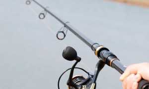 ТОП 10 лучших телескопических удочек для рыбалки