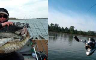 Спиннинг на судака – какой лучше выбрать для рыбалки