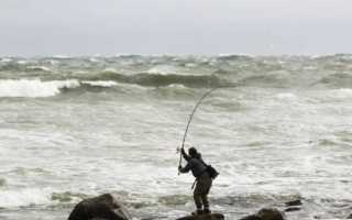 Какой ветер считается лучшим для рыбалки на водоемах