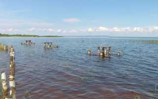 Прогноз клева Кубенское озеро на выходные