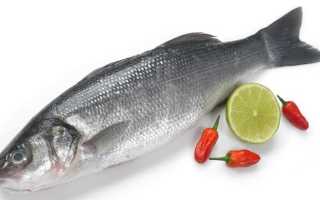 Рыба сибас – полное описание, рецепты и…