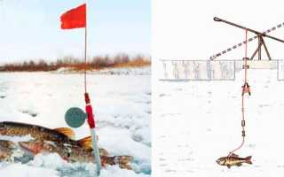Изготовление поставушек на щуку для летней и зимней рыбалки: советы и инструкции