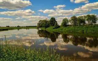Уровень воды на реке Клязьма на сегодня: прогноз, данные