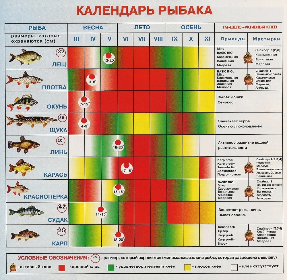 Календарь рыболова на год по дням и месяцам