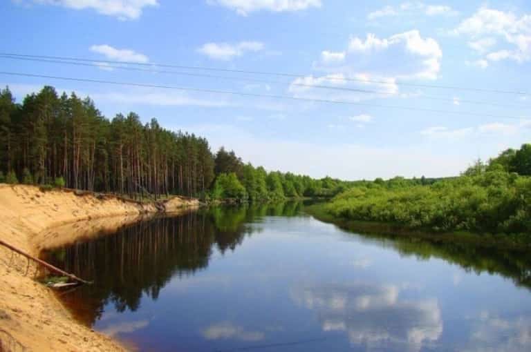 Прогноз клева рыбы в Минской области и Минске на сегодня, завтра