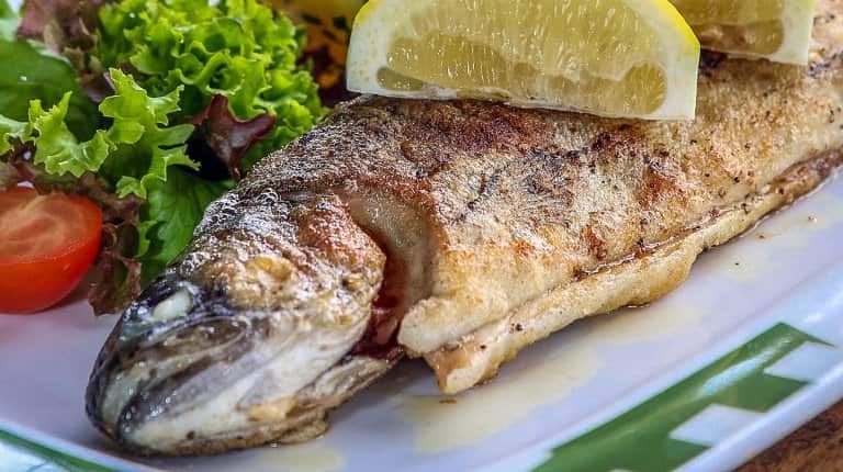 Что за рыба белая форель – как готовить, рецепты, отзывы, фото
