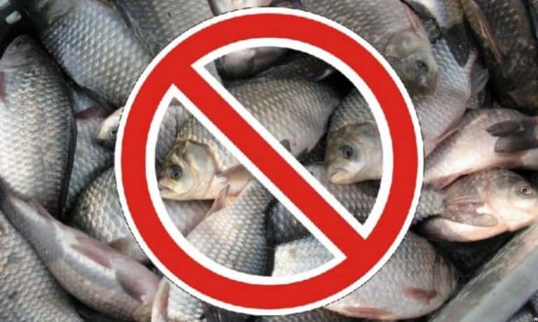 Запрет на рыбалку с какого числа начинается по областям