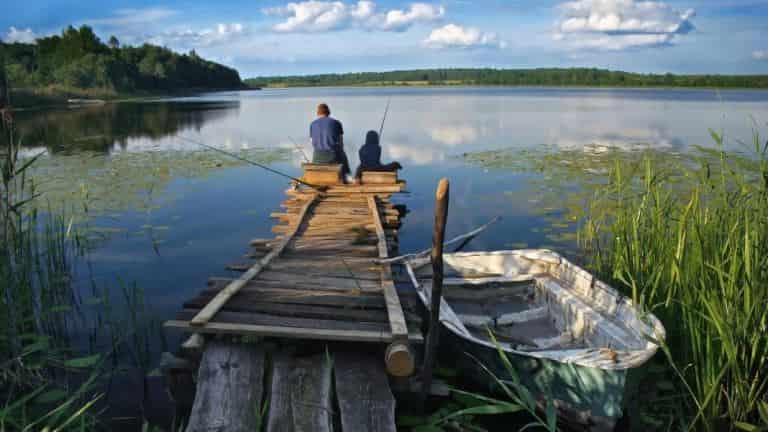 Прогноз клева рыбы в Нижегородской области и Нижнем Новгороде