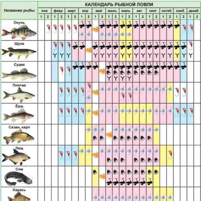 Подробный прогноз клева всех видов рыб на сегодня, завтра, 3 дня и 10 дней