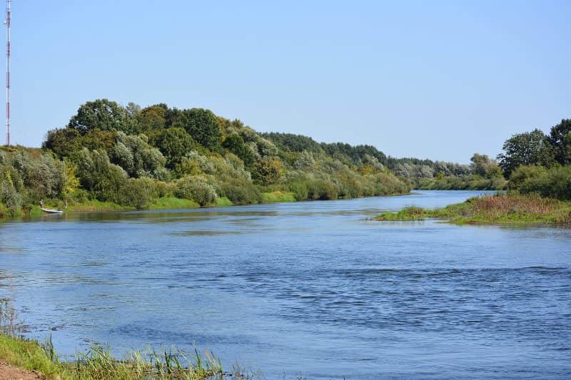 Уровень воды в реке Сож сегодня