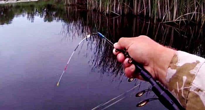 Рыбалка как ловить на боковой кивок
