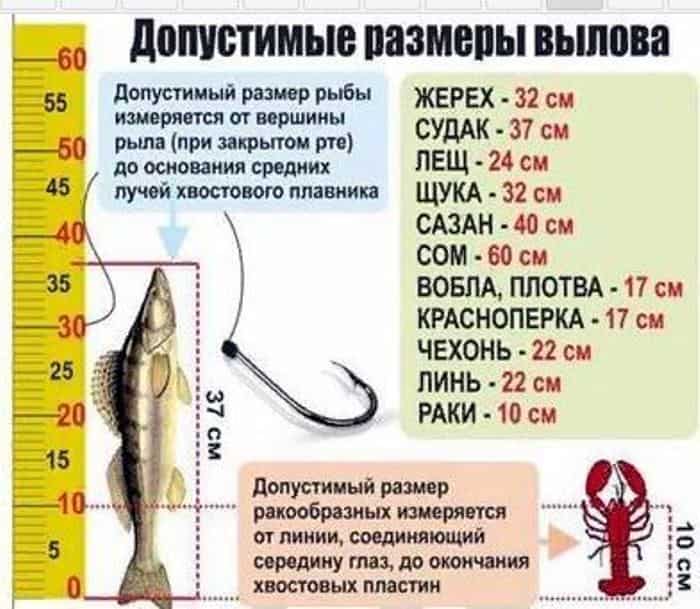 Новые правила рыболовства, Азовского, Волжского, Черноморского, Каспийского бассейна. 