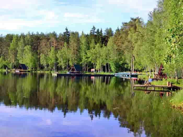 Прогноз клева рыбы в Ленинградской области на неделю, сегодня, завтра