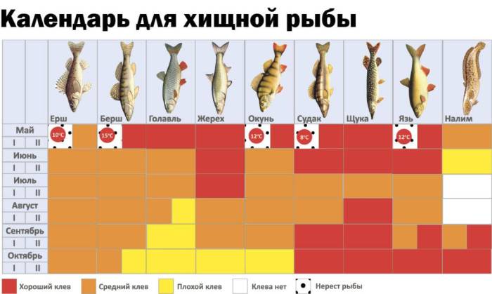 Календарь рыболова на год по дням и месяцам