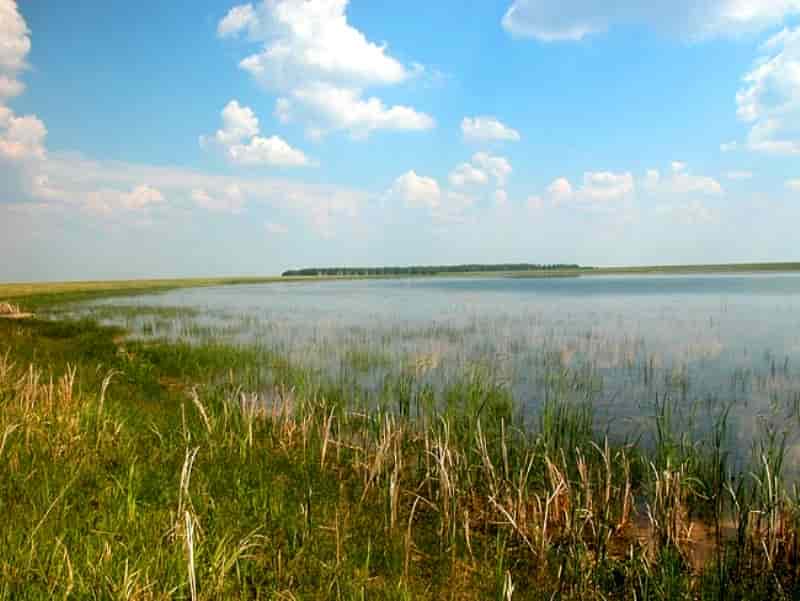 Рыбалка в Курской области, лучшие места, куда поехать, где клюет