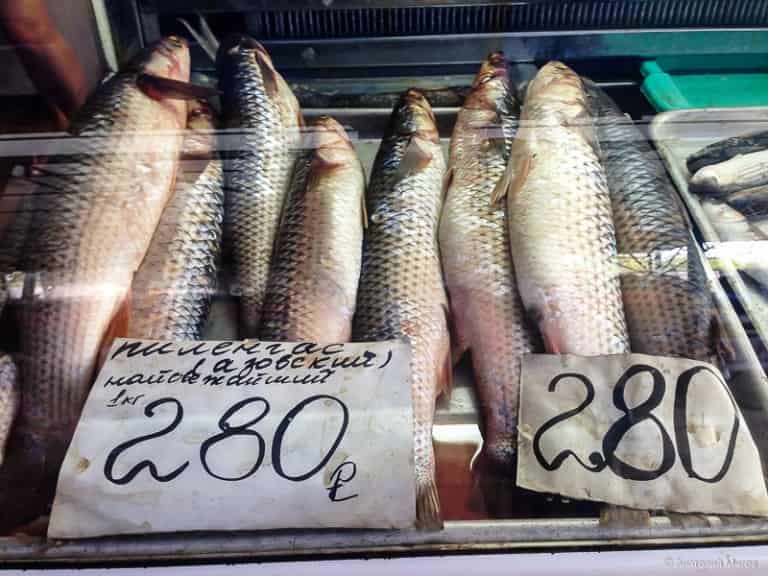 Что за рыба пеленгас черноморский, где водится, рецепты, фото