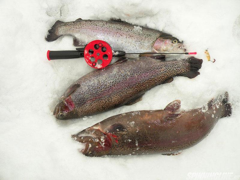 3 рыбы форели на снегу с удочкой