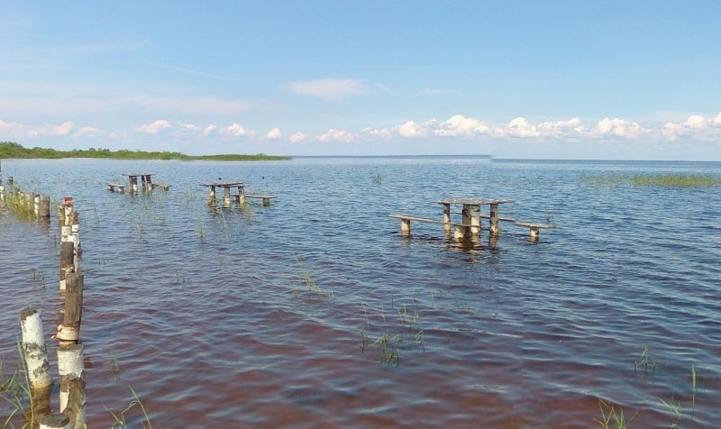 Прогноз клева рыбы Кубенское озеро