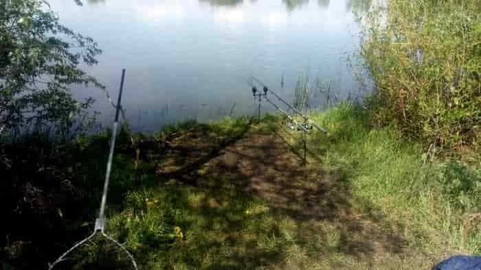 Прогноз клева рыбы в Бутурлиновке Воронежской области