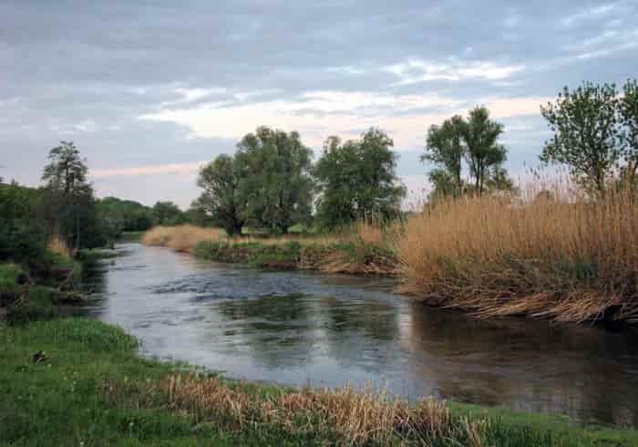 Прогноз клева рыбы в Тамбовской области и Тамбове, Мичуринске